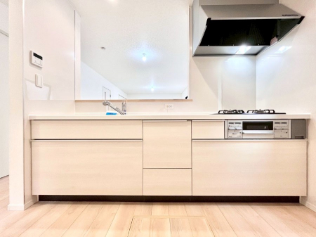 �L�b�`���@�������������I�ɁA�y�����I�V�X�e���L�b�`��  