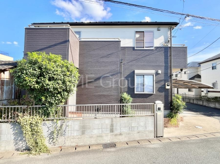 nOώʐ^@Ƃ肪Ί𐶂ސSn悢 