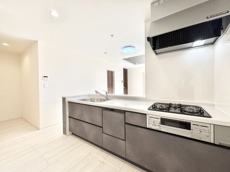 �L�b�`���@�������������I�ɁA�y�����I�V�X�e���L�b�`��  