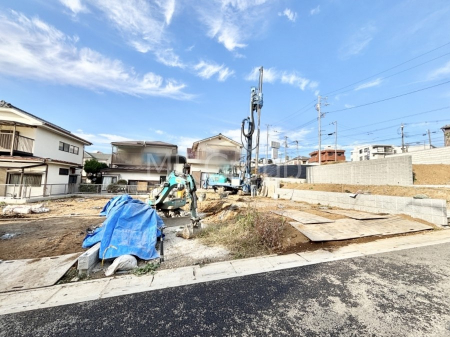 nOώʐ^@Ƃ肪Ί𐶂ސSn悢 