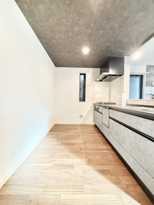 �L�b�`���@��Ƃ肠��L�b�`���ł͂��Ƒ��Ɗy�������������ł��܂��B