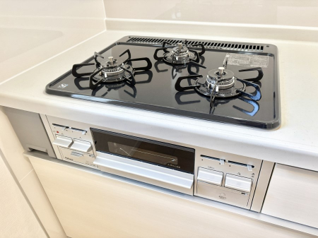 ���̑����ρ@�O���K�X�R�����ł���������C�ɂ͂��ǂ肻��  �@