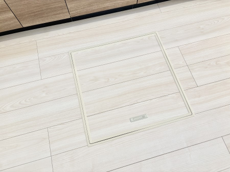 ���̑����ρ@�������[�t���I���p�i�E���p�i�̎��[�ɂ��劈��B