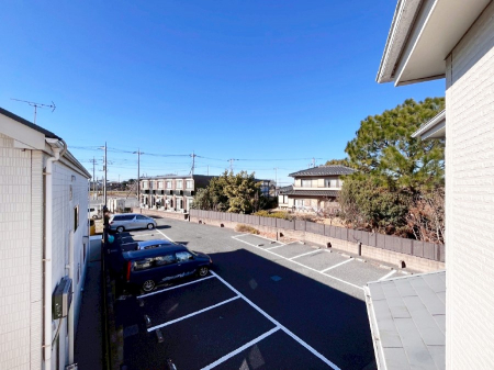 ���̑��@�o���R�j�[����̒��]�ł�