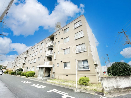 nOώʐ^@Ƃ肪Ί𐶂ސSn悢 