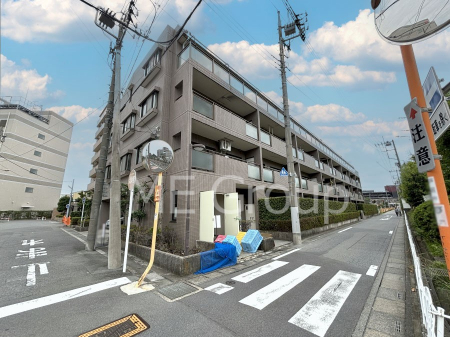 nOώʐ^@Ƃ肪Ί𐶂ސSn悢   