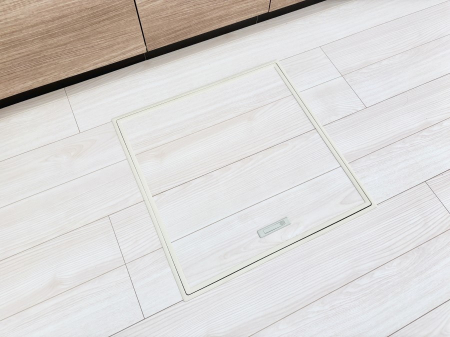 ���̑����ρ@�������[�t���I���p�i�E���p�i�̎��[�ɂ��劈��B