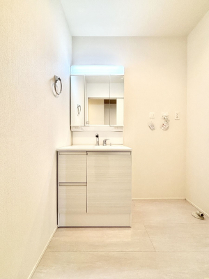 ʑEʏ@傫₷OʋŐʑ́AgȂ݃`FbN┧̂ɂ߂łB 