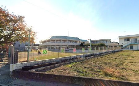 ���ӊ��@�c�t���E�ۈ牀 1000m �߂��݂̖؂��ǂ����c�t���ۈ牀