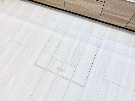 ���̑����ρ@�������[�t���I���p�i�E���p�i�̎��[�ɂ��劈��B