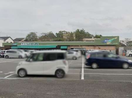 ӊ@X[p[ 1000m ZNV X