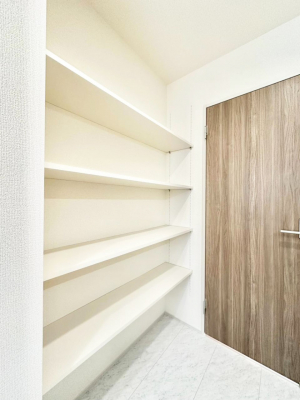 ���ʑ�E���ʏ��@���ʏ��ɂ͒E�߃X�y�[�X���������Ă��܂��B���I�𗘗p���Đ������ڂ��o���܂���