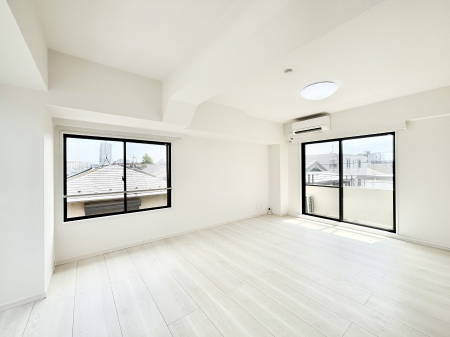 rO@傫ȑ炽Ղ̗zƕ郊rO