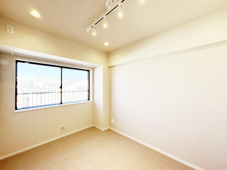 ̑ρ@u₩ȓŜDݍł܂