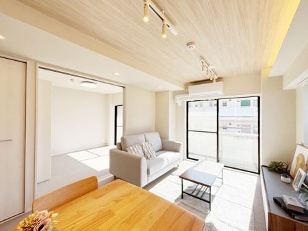 rO@傫ȑ炽Ղ̗zƕ郊rO