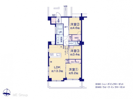 Ԏ}îP}Vj@}ʂƈقȂꍇ͌D