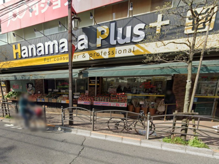 ӊ@X[p[ 500m Hanamasa Plus nX