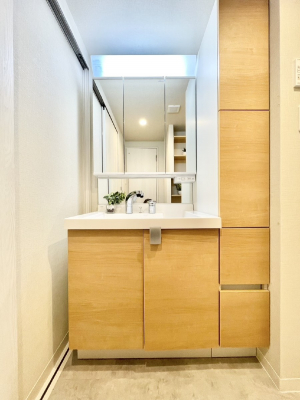 ʑEʏ@傫₷OʋŐʑ́AgȂ݃`FbN┧̂ɂ߂łB