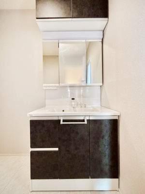 ʑEʏ@X^COɕ֗ȎOʋA~[LrlbgōׂXbL