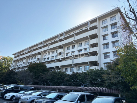 nOώʐ^@Ƃ肪Ί𐶂ސSn悢