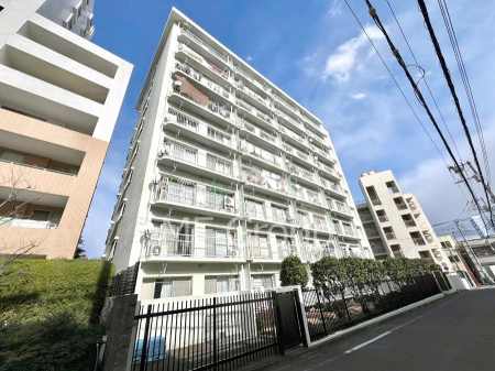 nOώʐ^@Ƃ肪Ί𐶂ސSn悢 