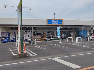 ӊ@X[p[ 800m rbOEG[ œX