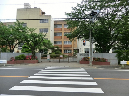 ӊ@ctEۈ牀 290m vsct