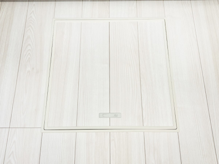 ���̑����ρ@�������[�t���I���p�i�E���p�i�̎��[�ɂ��劈��B