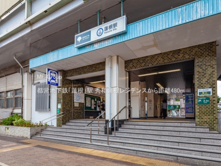 ӊ@w 480m scnSu@vw