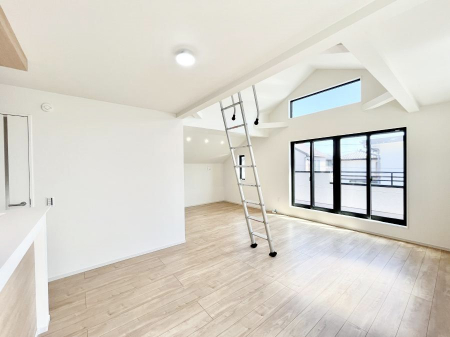 rO@傫ȑ炽Ղ̗zƕ郊rO