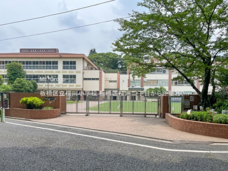 ӊ@wZ 390m 旧쏬wZ