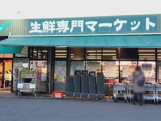 ӊ@X[p[ 290m ZNV X