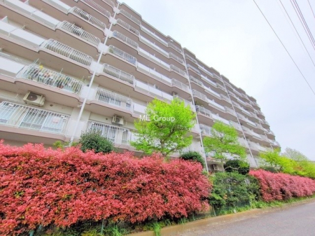 ���n�O�ώʐ^�@��Ƃ肪�Ί�𐶂ސS�n�悢����