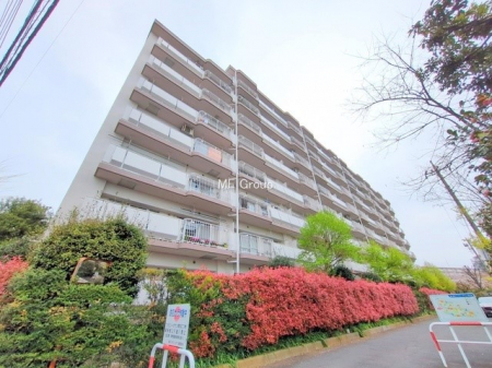 ���n�O�ώʐ^�@����z���ł��Ƒ��̏Ί���P��