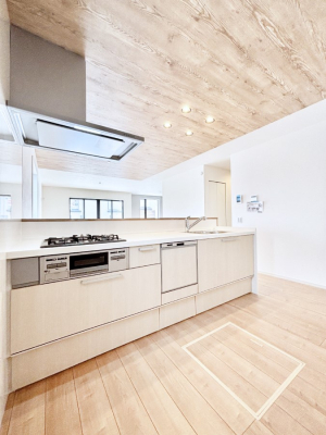 �L�b�`���@�������������I�ɁA�y�����I�V�X�e���L�b�`��  