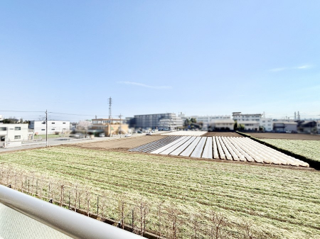 ���̑��@���z�̌b�݂�������ʂ����肠�ӂ���ԁB