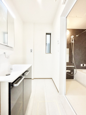 ���̑��@�_�炩�Ȓ��̌����������鑋���������ʎ�