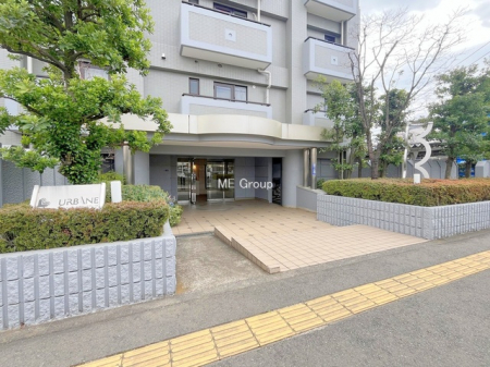 �G���g�����X�@-