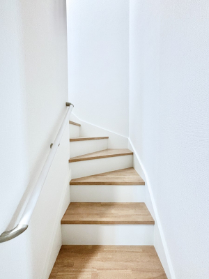 ���̑��@�K�i�͎肷��t���Ȃ̂ŏ����Ȃ��q���܂₲����̕������S�ł�  