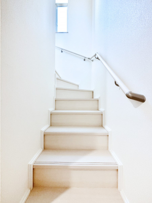 ���̑��@�K�i�͎肷��t���Ȃ̂ŏ����Ȃ��q���܂₲����̕������S�ł�