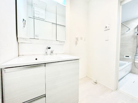 ���̑��@����������z���C�g�J���[����Ƃ������ʎ�