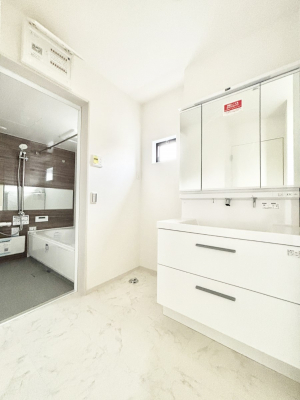 ���̑��@�_�炩�Ȓ��̌����������鑋���������ʎ�