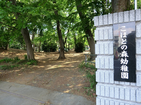 ���ӊ��@�c�t���E�ۈ牀 900m ���΂Ƃ̐X�c�t��