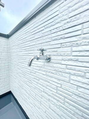 ���̑����ρ@�o���R�j�[����������΂��|�����y�X�ł��B    