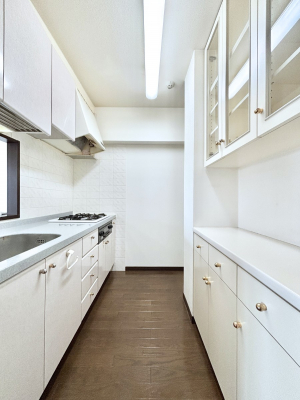 �L�b�`���@���������Ȃ���ł����Ƒ��Ƃ̉�b���y���߂�ΖʃL�b�`��