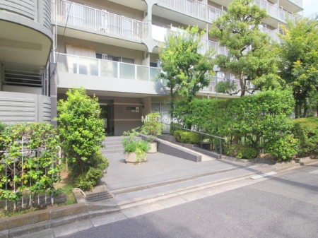 �G���g�����X�@-