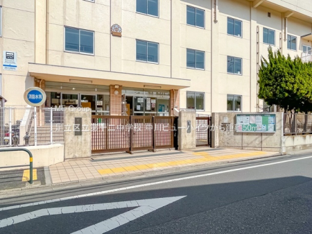 ���ӊ��@���w�Z 50m �����旧��\�񒆊w�Z