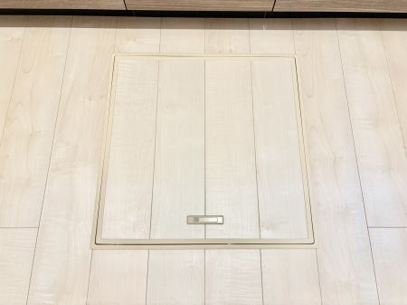 ���̑����ρ@�������[�t���I���p�i�E���p�i�̎��[�ɂ��劈��B