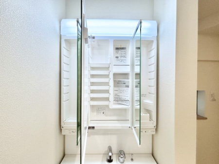 ���̑����ρ@�������[�t���I���p�i�E���p�i�̎��[�ɂ��劈��B