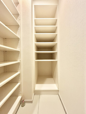 ���ց@�����Ղ�̎��[�͂�������V���[�Y�C���N���[�[�b�g